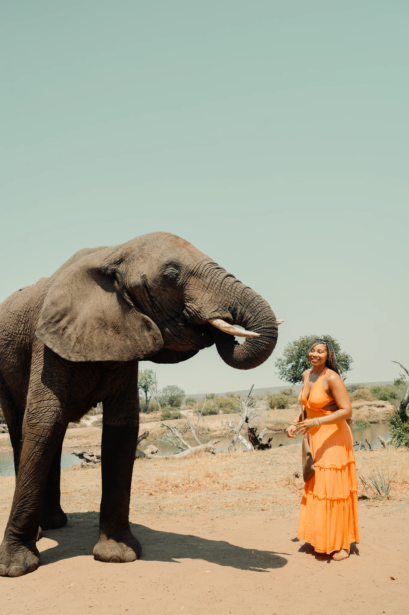 Woman greeting an elephant on a Southern Africa safari