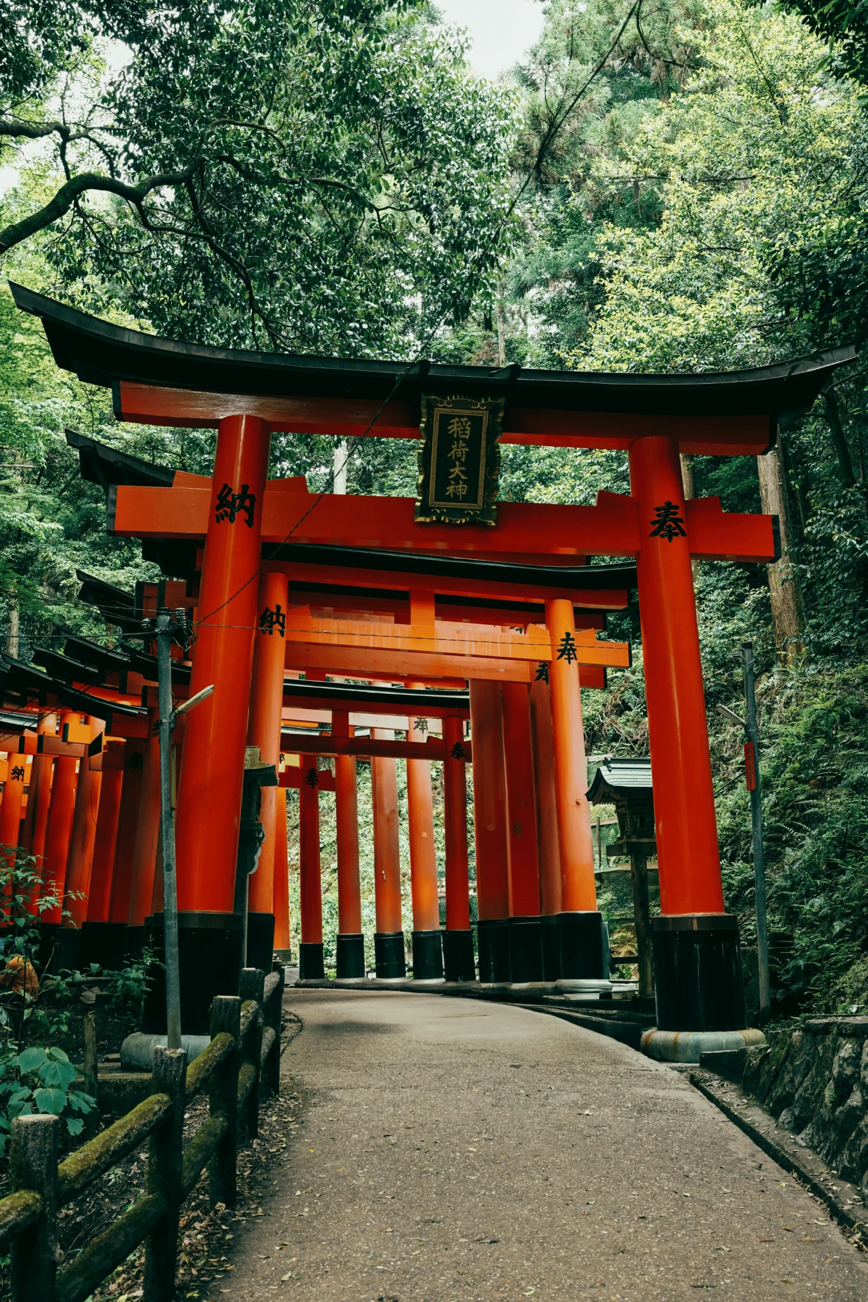 Tokyo, Kyoto & Osaka Culture Tour